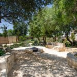 תמונה 37